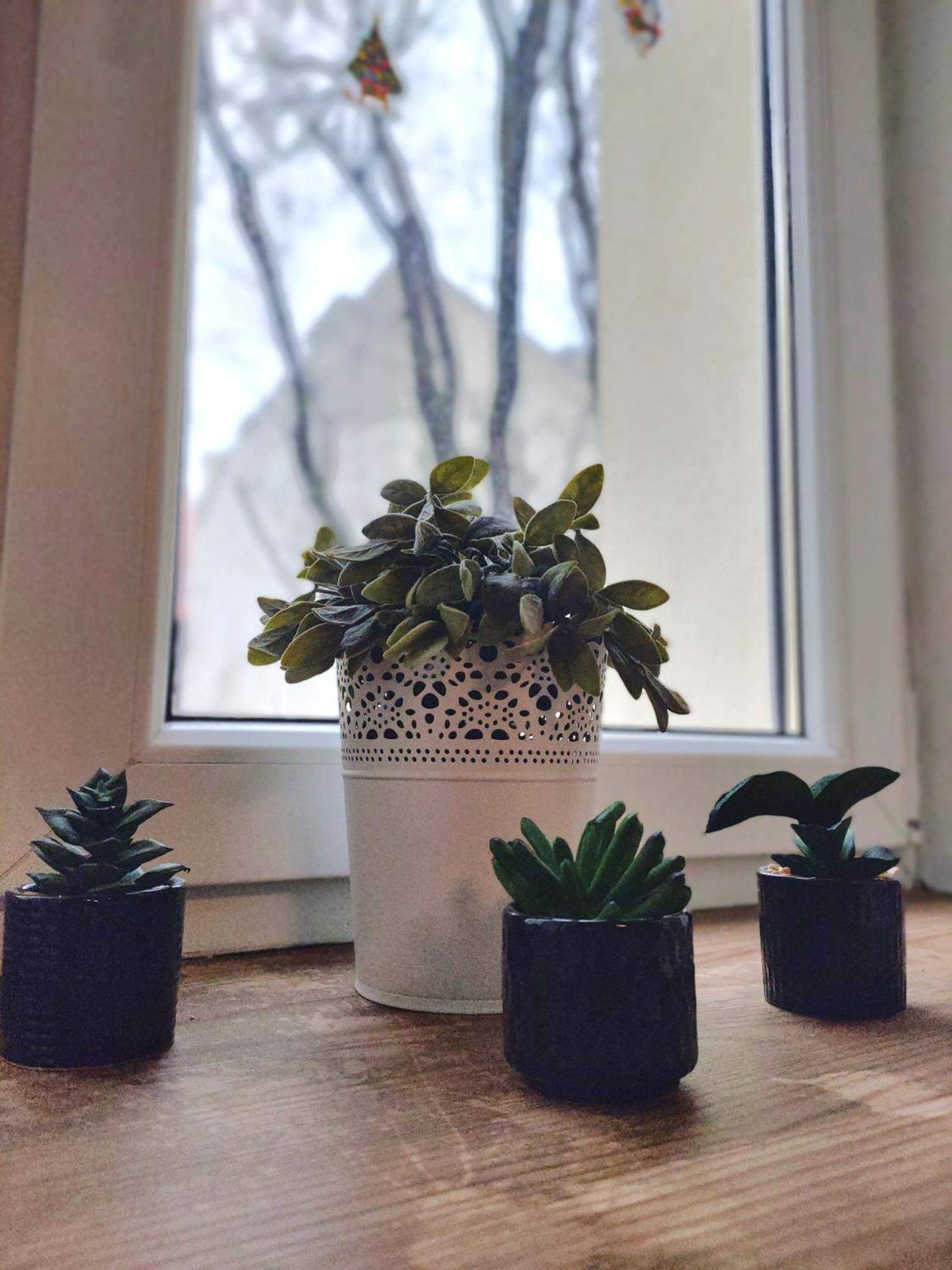 Elpida Apartment Krakkó Kültér fotó